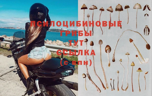 гидра Нягань
