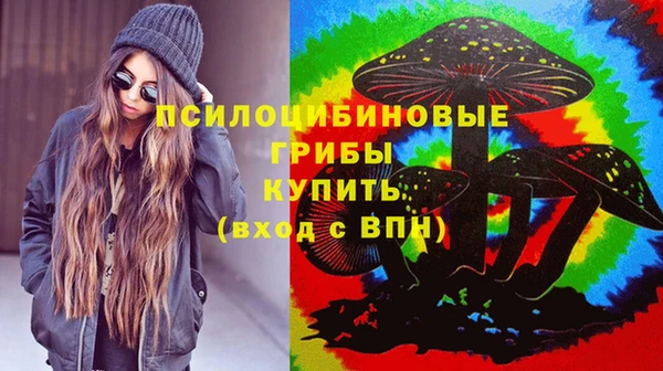 гидра Нягань