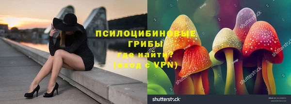 альфа пвп Няндома