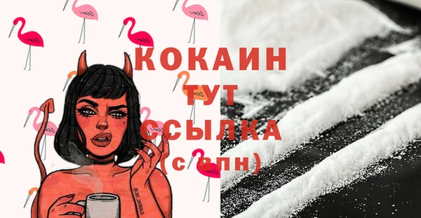 альфа пвп Няндома