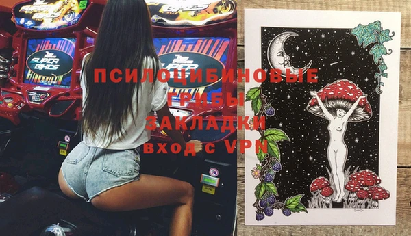 альфа пвп Няндома