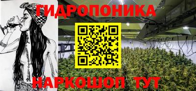 стафф Абакан