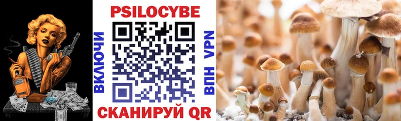 MEGA маркетплейс  купить наркотик  Москва  Галлюциногенные грибы Magic Shrooms 