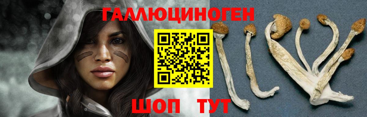 Галлюциногенные грибы Cubensis  Вход с VPN  Москва 